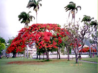 stk-independencesquare.jpg